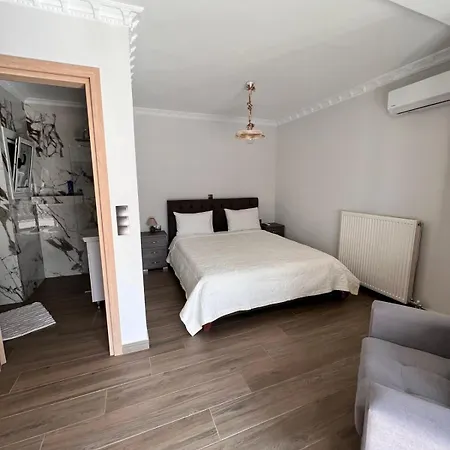 公寓 Kontis' Deluxe Furnished 路特奇