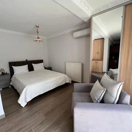 Kontis' Deluxe Furnished *