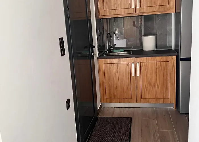 Kontis' Deluxe Furnished Лоутраки