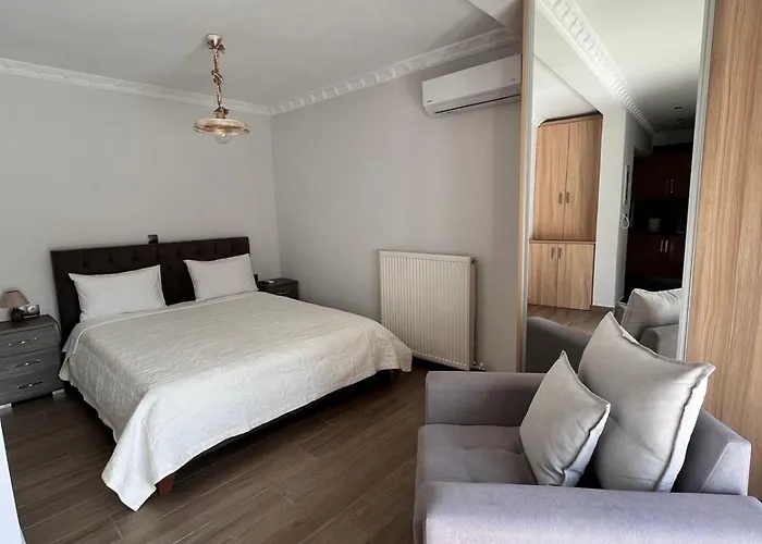 Kontis' Deluxe Furnished *